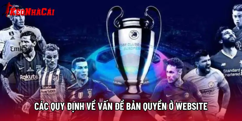 Các quy định về vấn đề bản quyền ở website