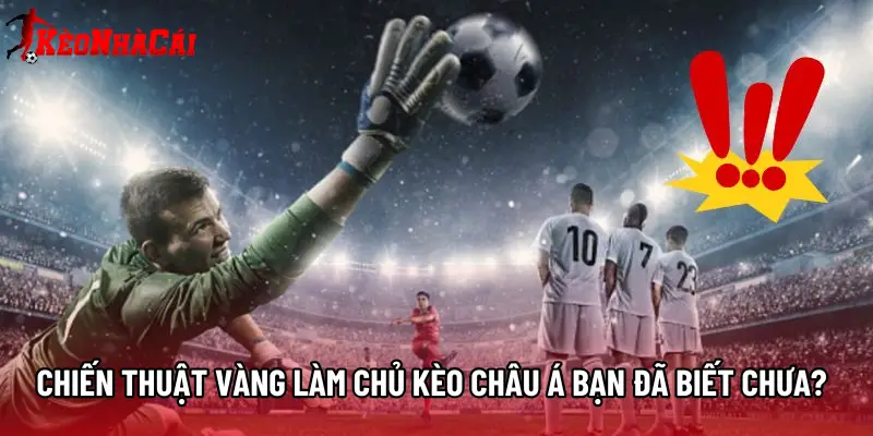 Chiến thuật vàng làm chủ Kèo châu Á bạn đã biết chưa?