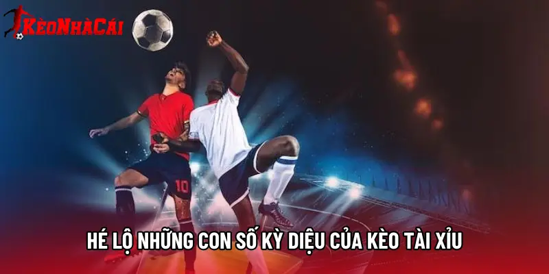 Hé lộ những con số kỳ diệu của Kèo tài xỉu