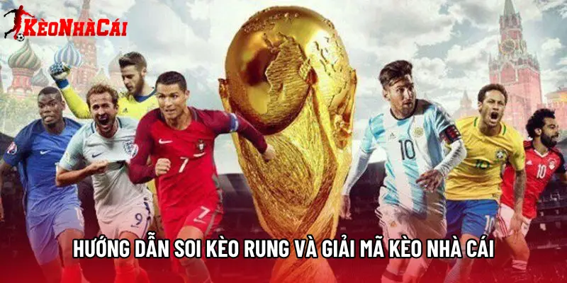 Hướng dẫn soi kèo rung và Giải mã kèo nhà cái