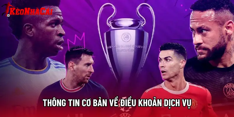 Thông tin cơ bản về điều khoản dịch vụ